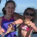 conch_shells-04-29-2013
