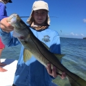 Nice catch!