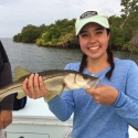 Snook