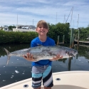 King Mackerel