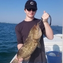 Bay Grouper