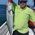 Kingfish
