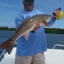 Big Red