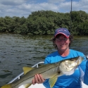 Snook