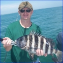 john_quill_sheepshead-800x800