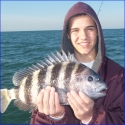 tyler_richie_sheepshead-800x800