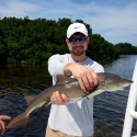 shark game fish id