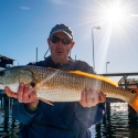 redfish game fish id