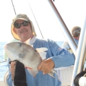 triggerfish game fish id