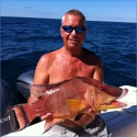 hogfish game fish id