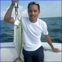 spanish mackerel game fish id