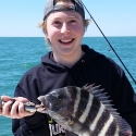 sheepshead game fish id