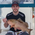 red grouper game fish id