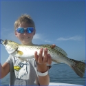 spotted seatrout game fish id