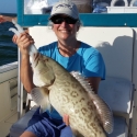 gag grouper game fish id