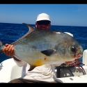 permit game fish id