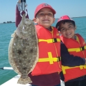 flounder game fish id