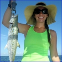 Spanish Mackerel