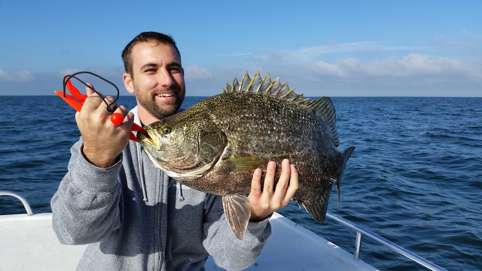 Anna Maria Island Fishing Report: Captain Aaron Lowman – December 07, 2015
