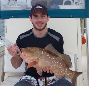 red grouper game fish id