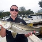 snook game fish id